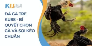 Đá Gà Tre