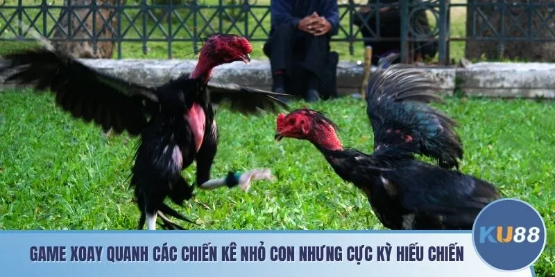 Game xoay quanh các chiến kê nhỏ con nhưng cực kỳ hiếu chiến